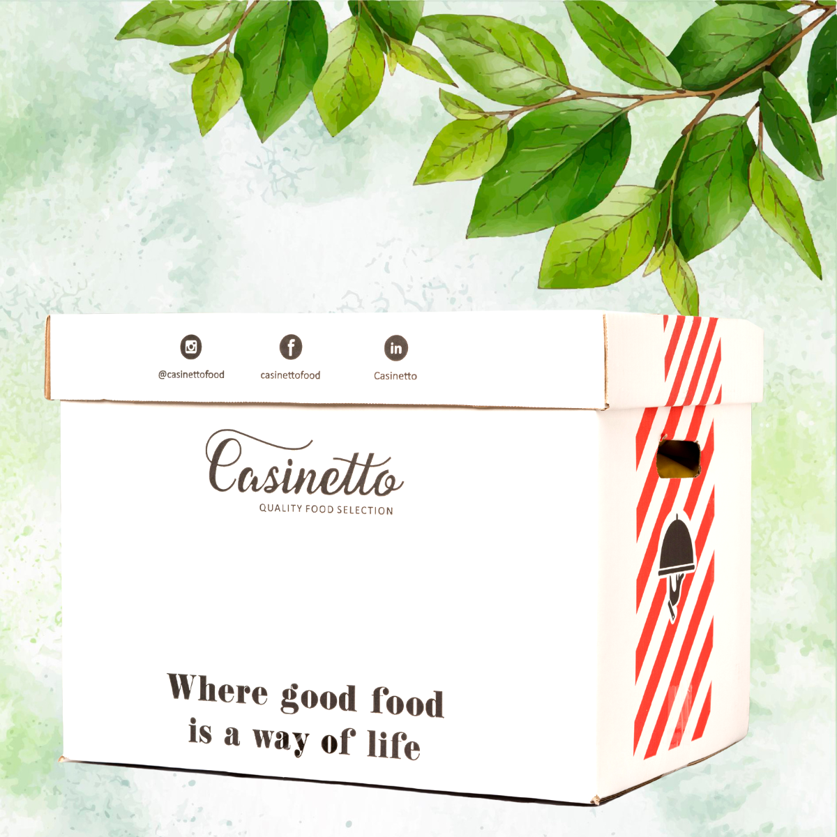 Go Green with Casinetto!