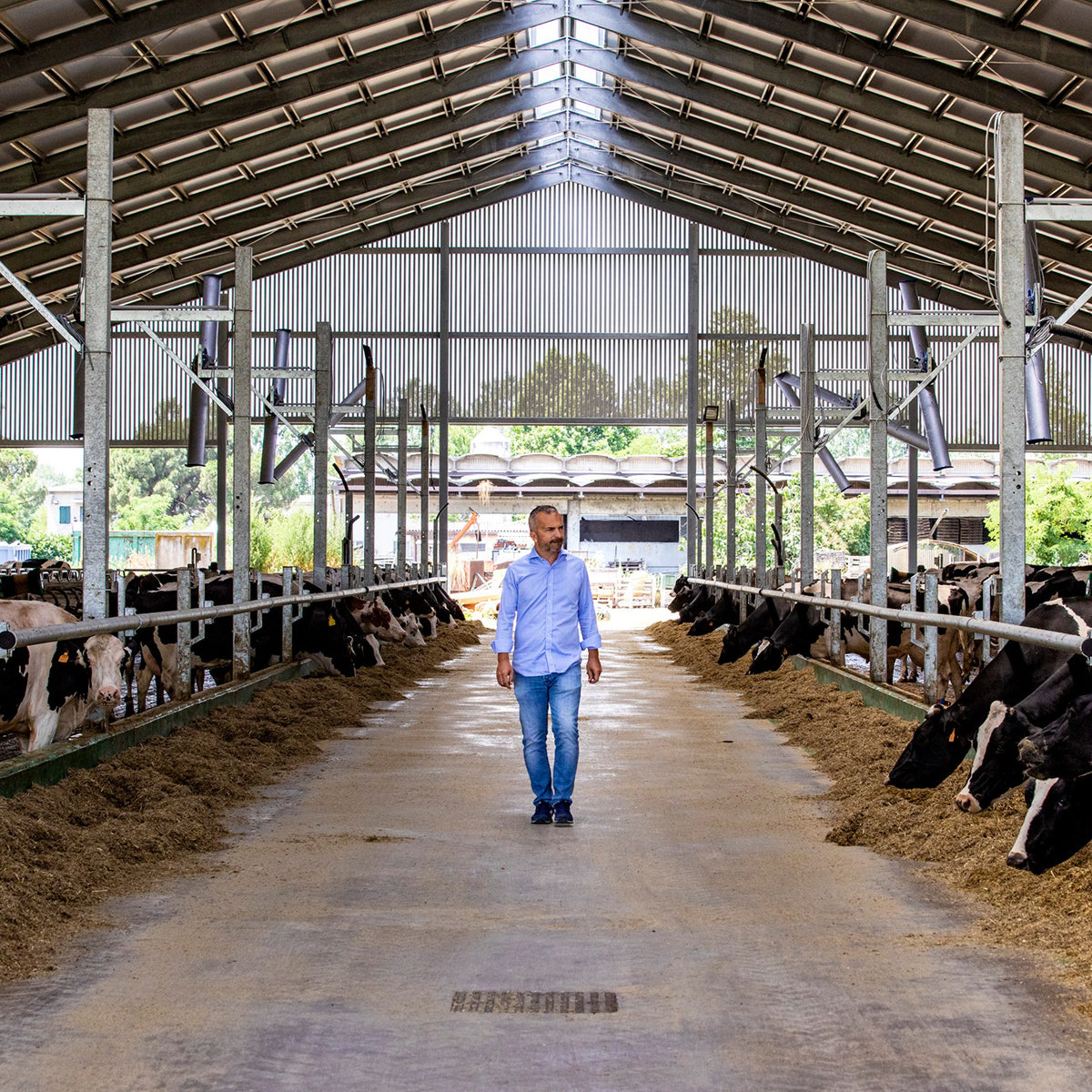 Discover our new farm: Carioni