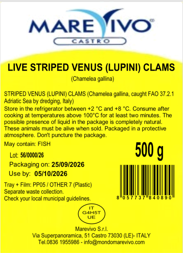 Live Lupini Clams Striped Venus from Italy - 500g image 2