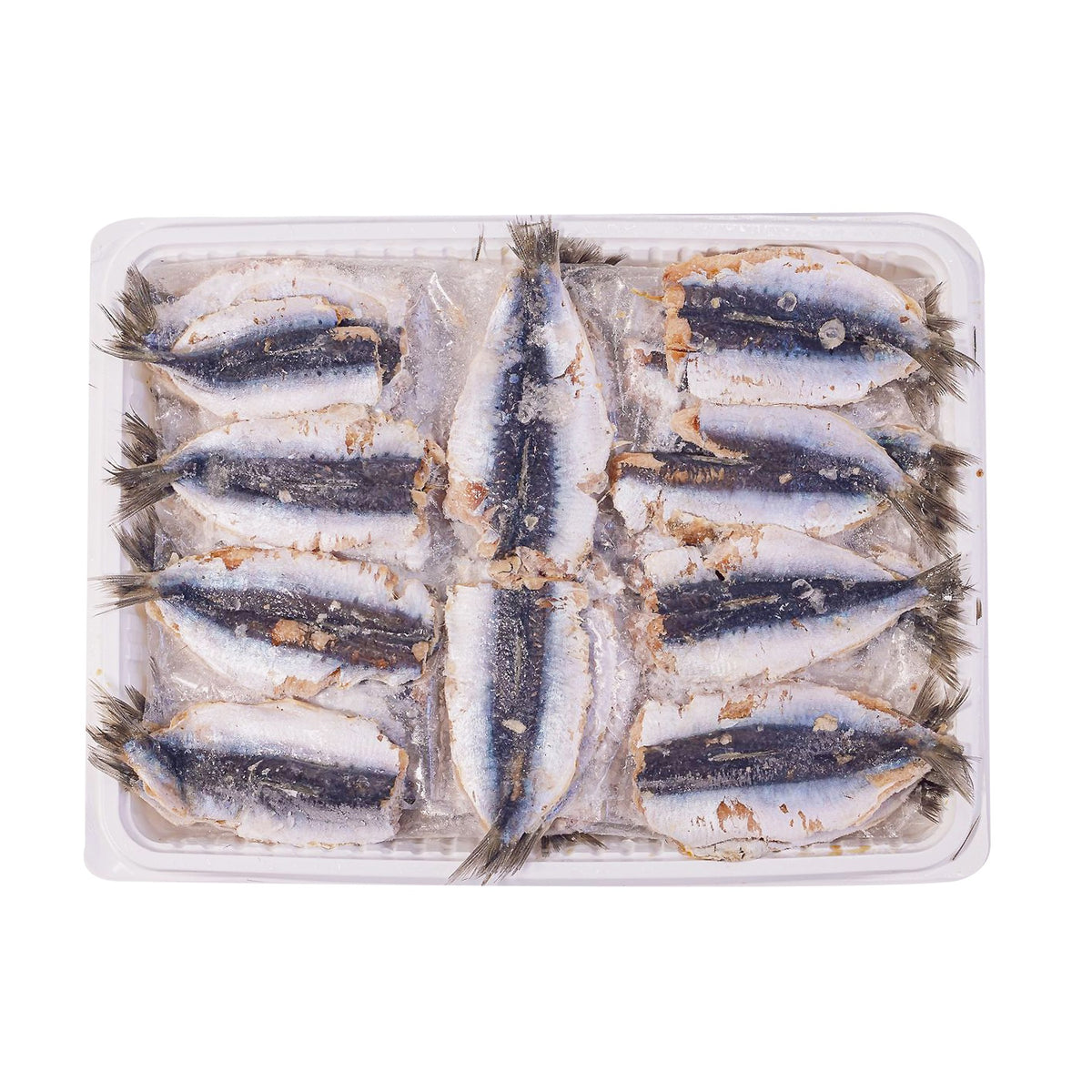 Sardine Fillet Medium Frozen image 2