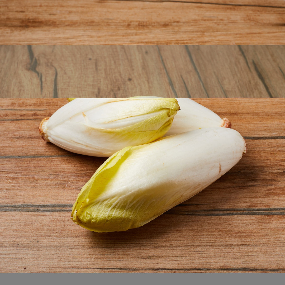 Chicory White from Holland image 2