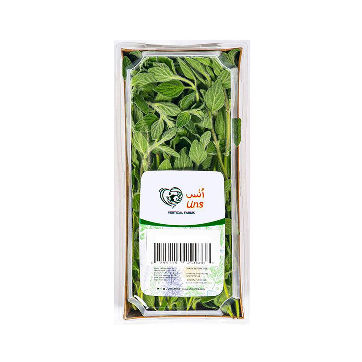 Oregano image 2