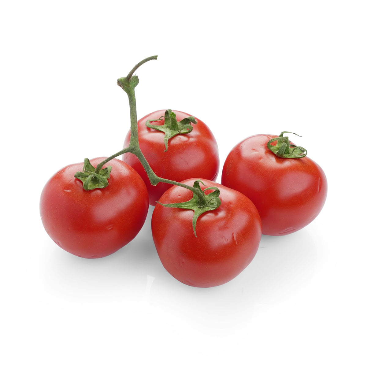 Tomato Round from Italy image 1