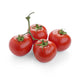 Tomato Round from Italy image 1