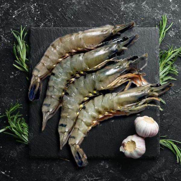 Shrimp Black Tiger HOSO Colossal image 1