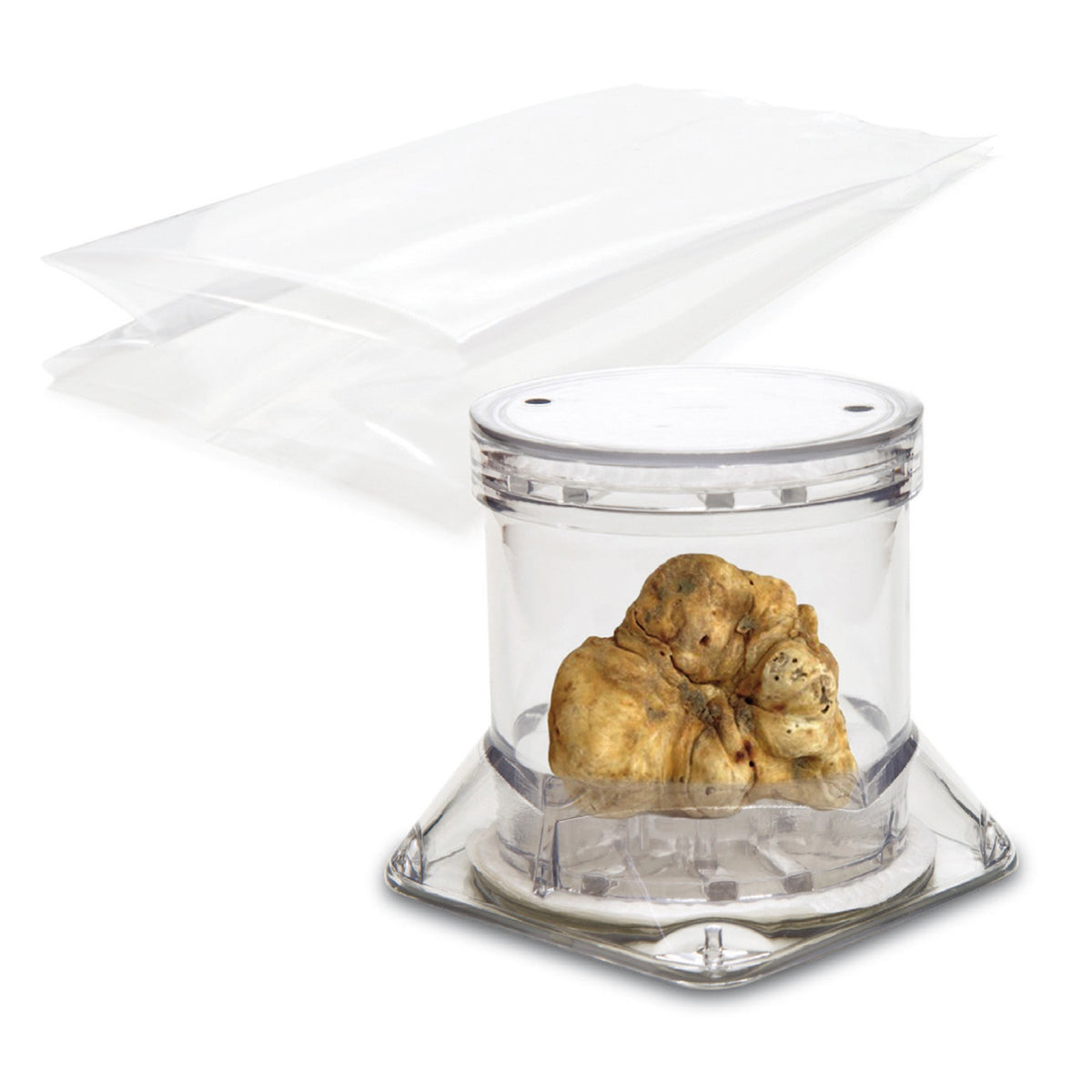 Truffle Packaging Tuber Pack 6 x 5cm image 3