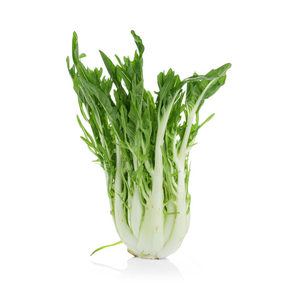 Chicory Sprout Puntarelle from Italy image 1