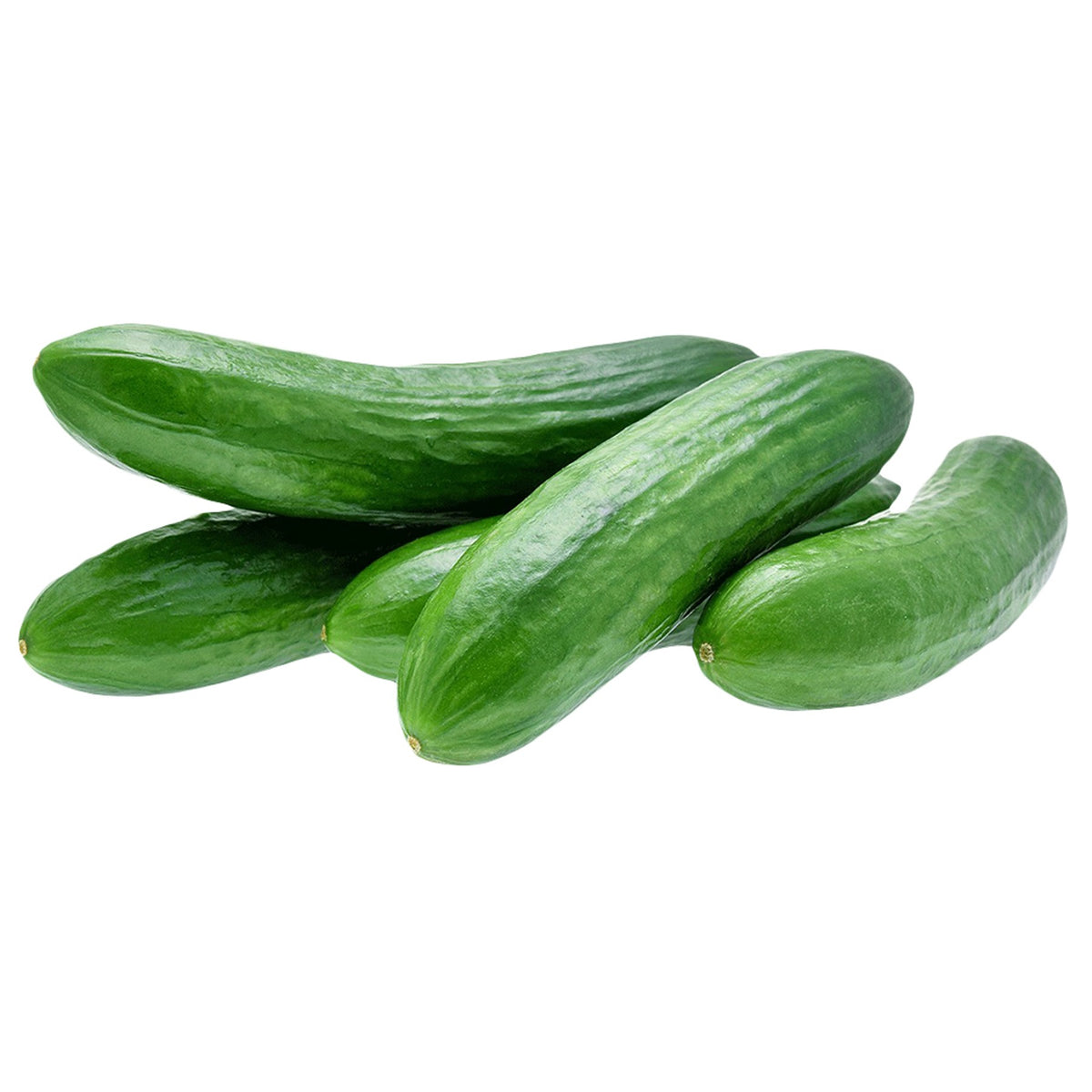 Cucumber Organic image 1