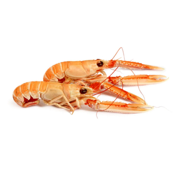 Langoustine from Denmark Frozen 8-12pcs image 1