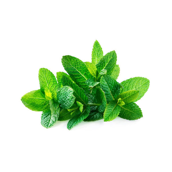Spearmint image 1