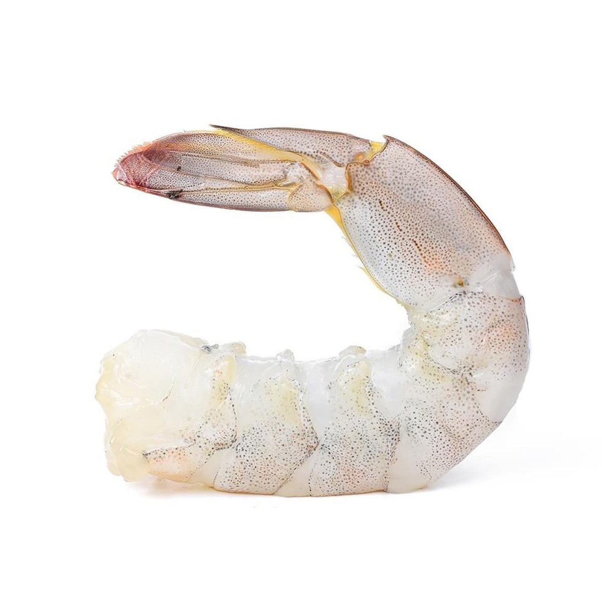 Vannamei Shrimp 16/20 Cleaned Tail On Frozen 44-46pcs image 2