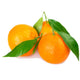 Clementine Seedless from Italy image 1