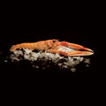 Langoustine from Sicily Frozen 10-15pcs image 2