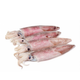 Squid Not Cleaned IWP Frozen 11-16cm 7-9pcs image 1