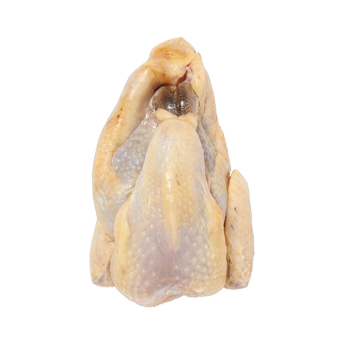 Guinea Fowl from France Frozen image 1