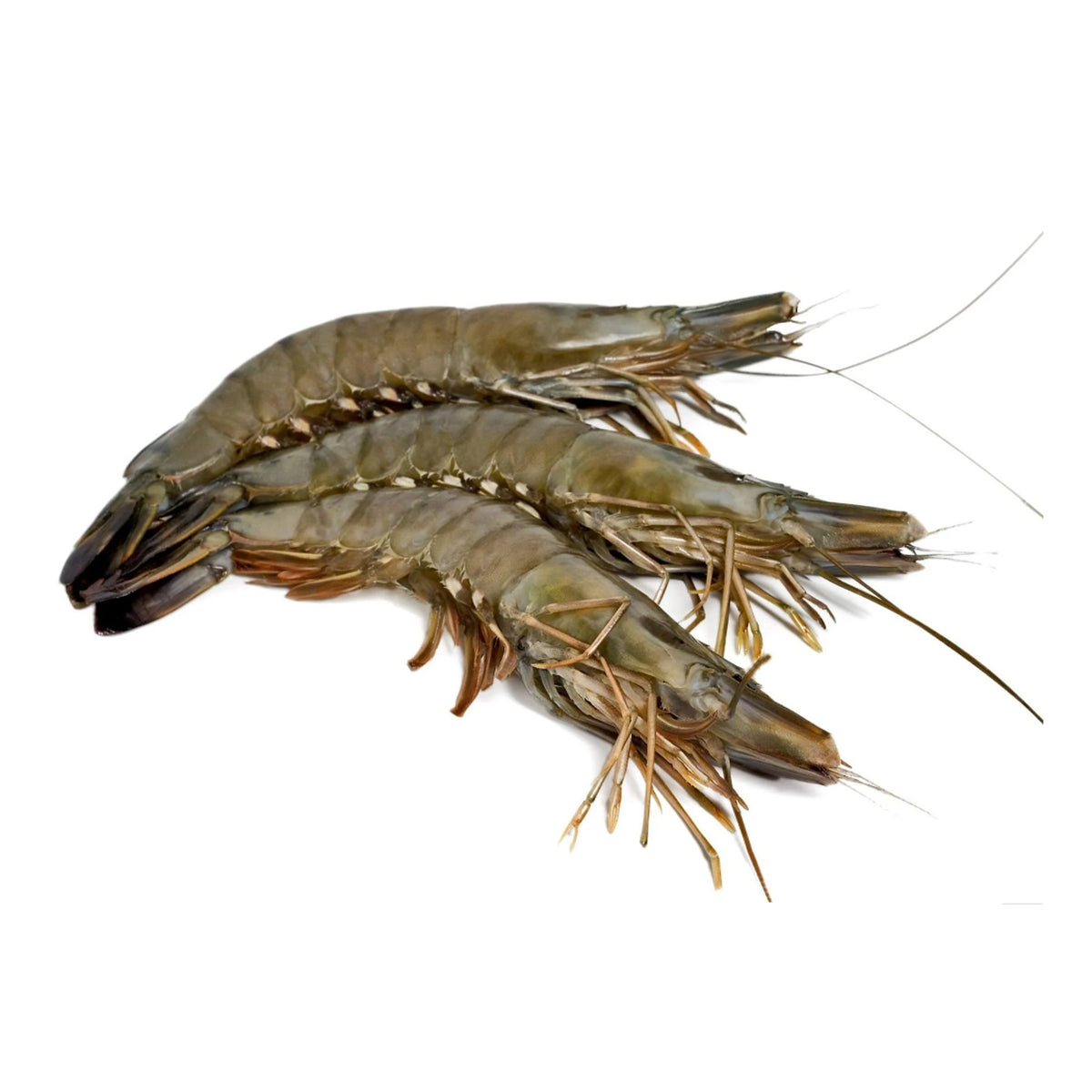 Black Tiger Shrimp Whole Jumbo Frozen ∼7pcs image 1