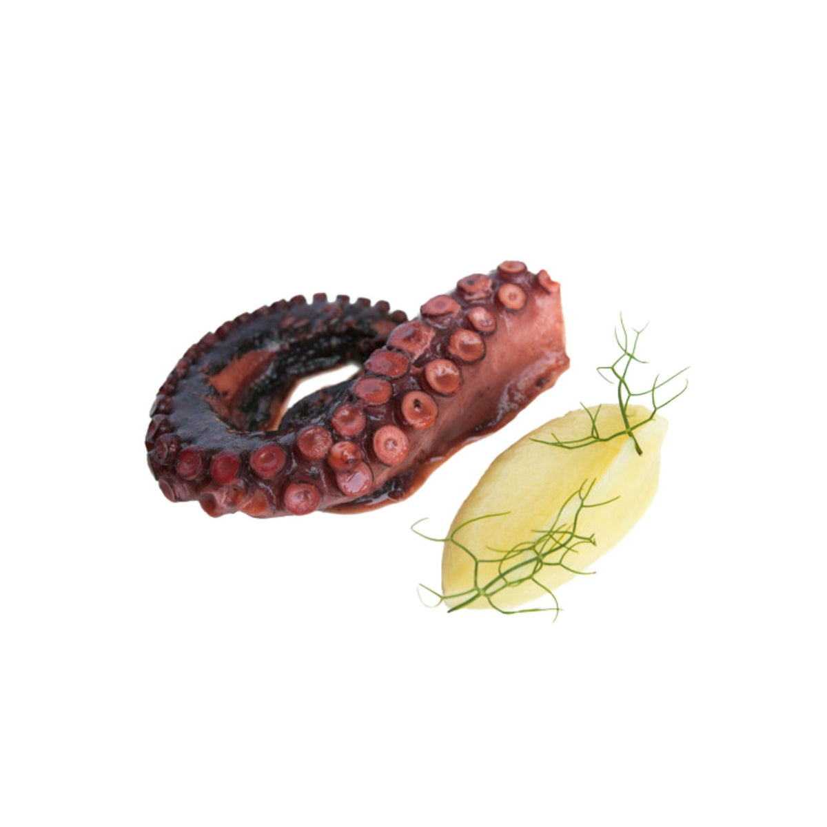Octopus Tentacles Cooked image 1