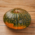 Pumpkin Delica from Italy image 2