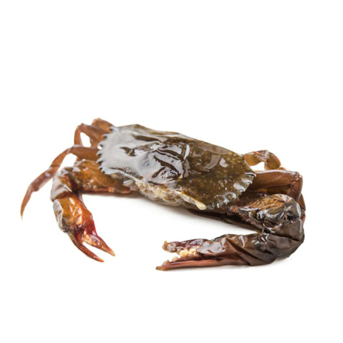 Soft Shell Crab Whole Whale Frozen 6-8pcs image 1