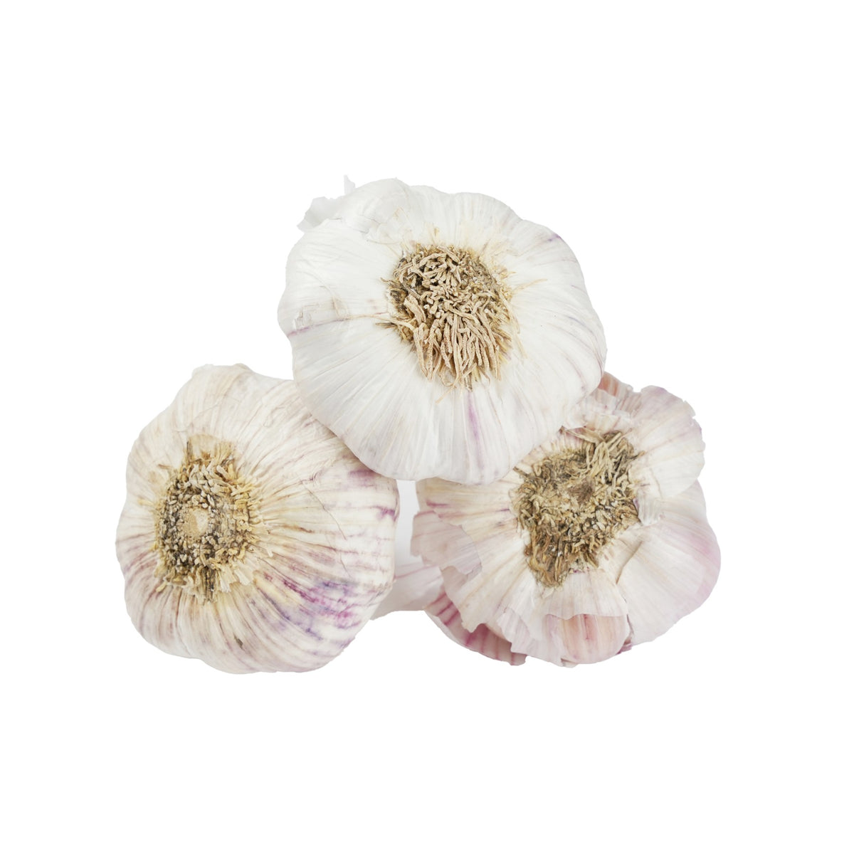 Garlic Red from Italy image 1