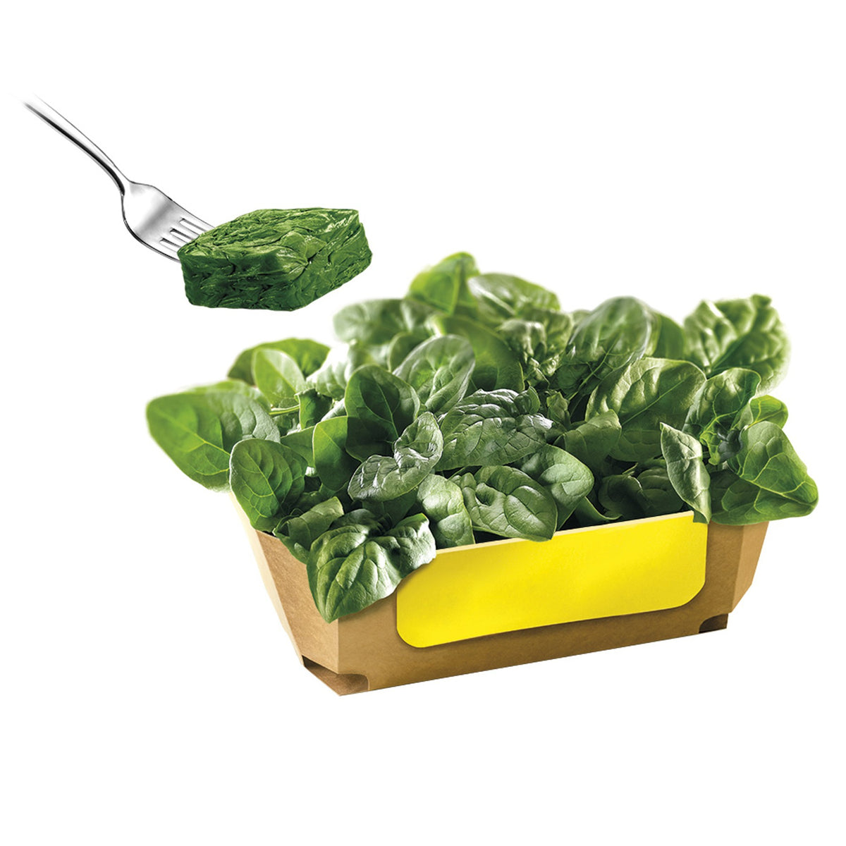 Spinach Cubes Frozen 750g image 2