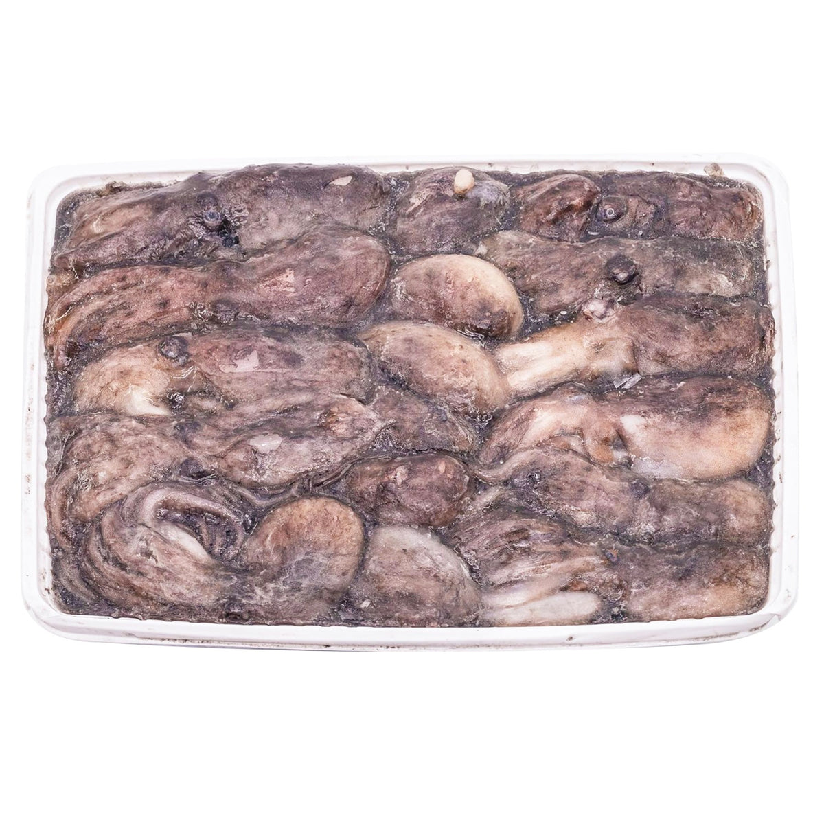Octopus Moscardino 50-80g/pc image 4