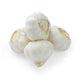 Garlic image 1