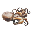Octopus Moscardino 50-80g/pc image 1