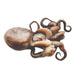 Octopus Moscardino 50-80g/pc image 1