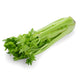 Celery from Italy image 1