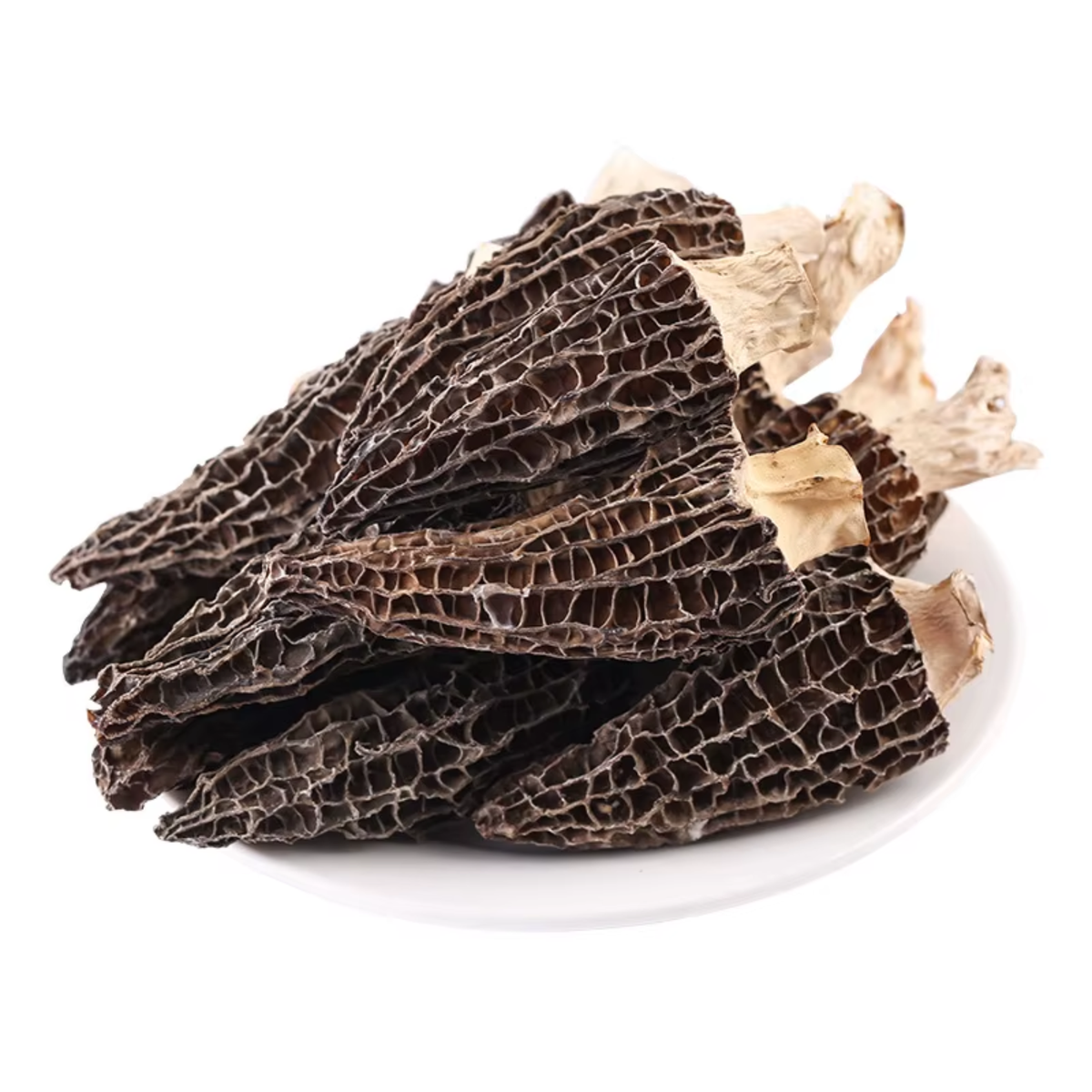 Mushroom Morel image 1