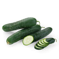 Cucumber from Italy image 1