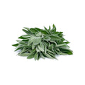 Sage image 1