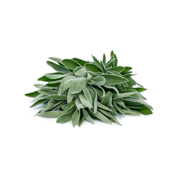 Sage image 1