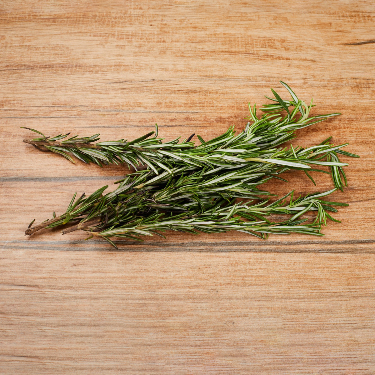 Rosemary from Italy image 2