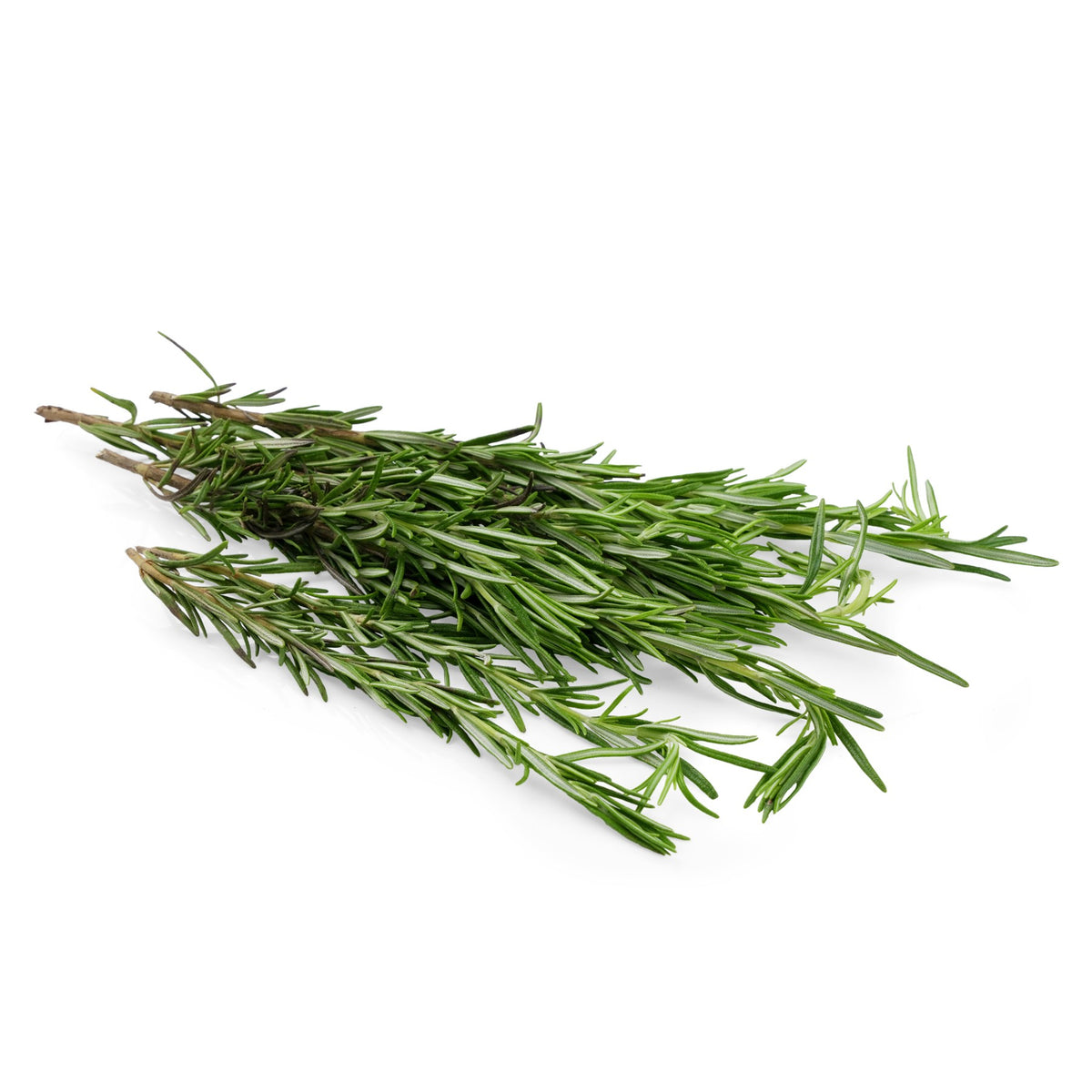 Rosemary from Italy image 1