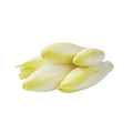 Chicory White from Holland image 1