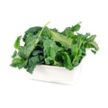 Baby Kale image 2