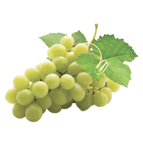 Grapes White Seedless from Italy image 1
