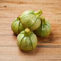 Zucchini Round from Italy image 2