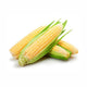 Sweet Corn image 1