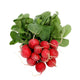Radish Rapanelli Bunch from Italy image 1