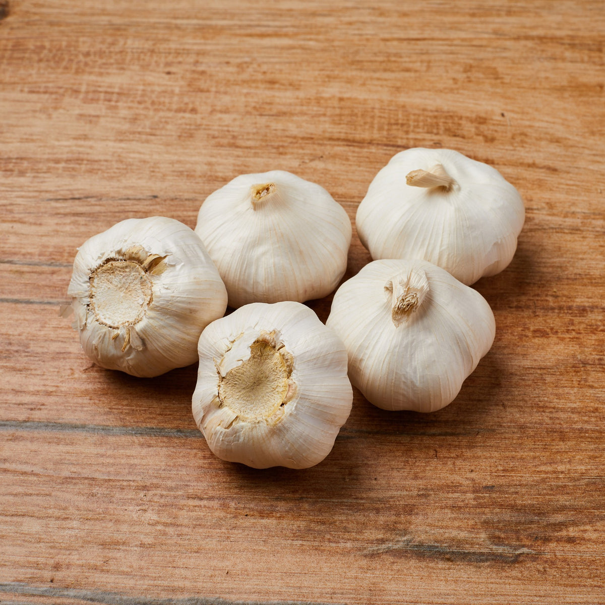 Garlic image 2