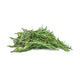 Rosemary image 1