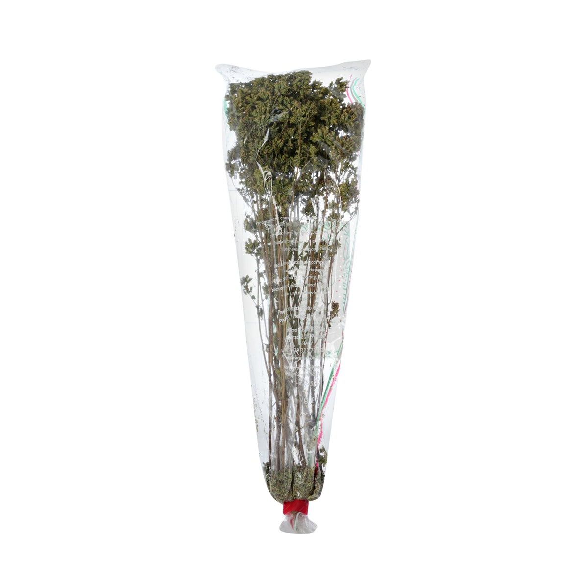 Oregano Dried from Italy image 1
