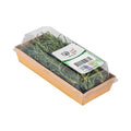 Rosemary image 3