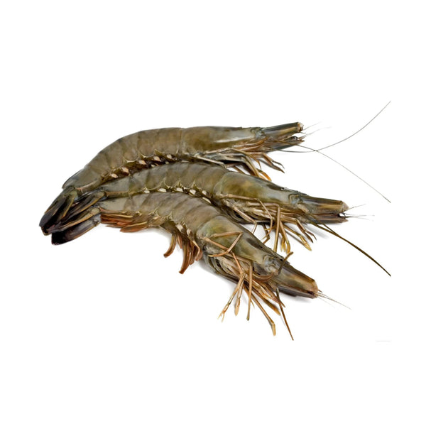 Black Tiger Shrimp Whole Large Frozen 10-20pcs image 1