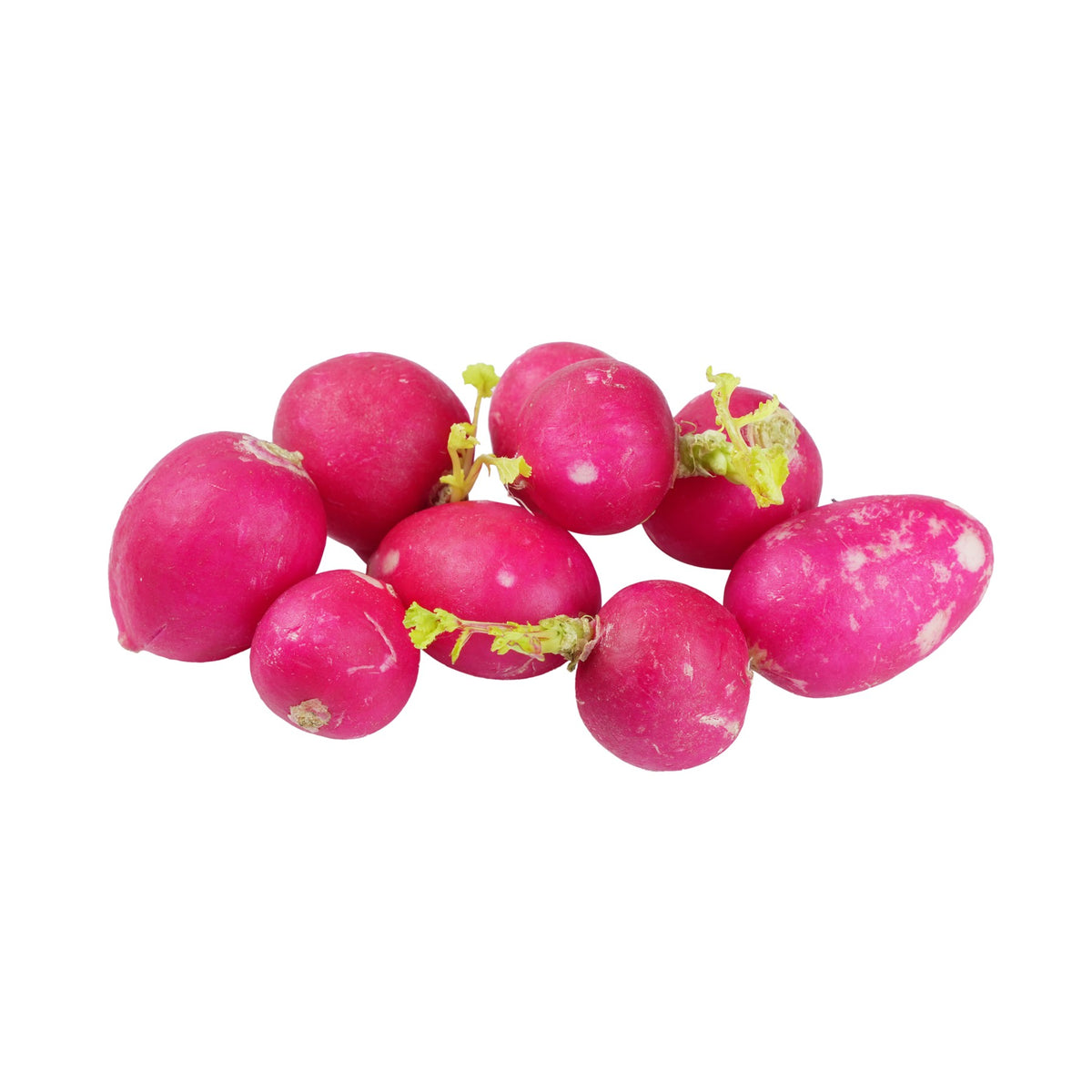 Radish Red image 1