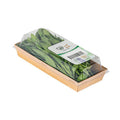 Sage image 3