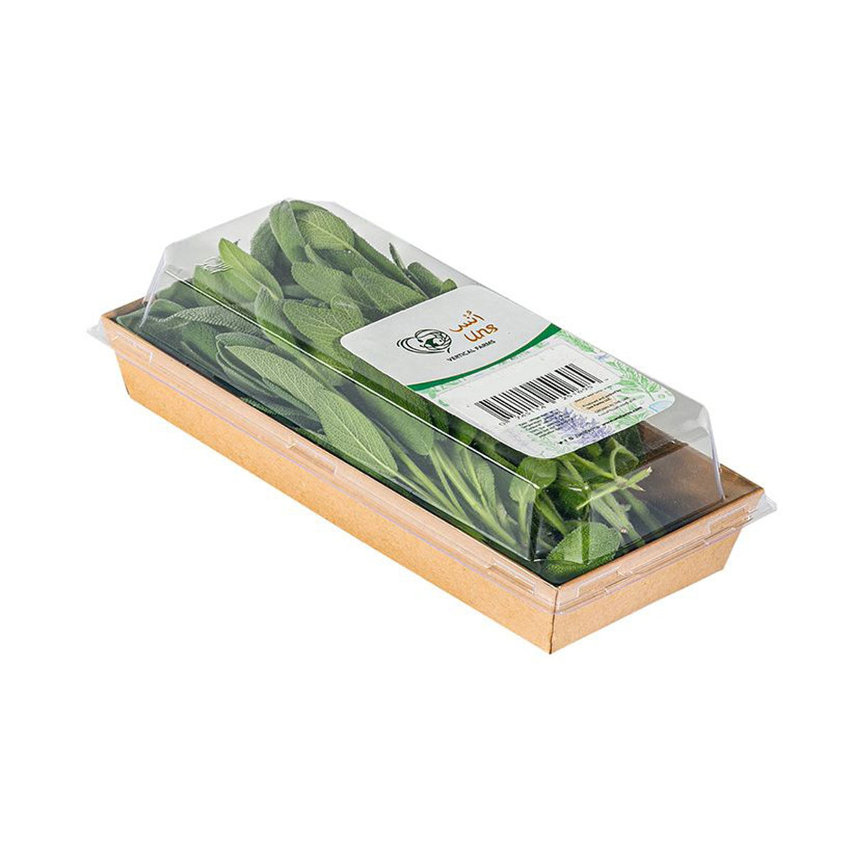 Sage image 3